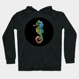 Rainbow Gradient Seahorse on Black Hoodie